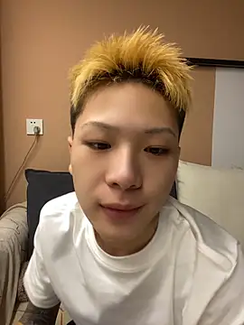 diandian88 webcam