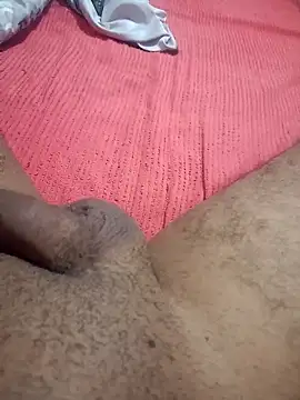 Daniel-brasil webcam