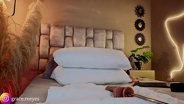 Silvermistt webcam