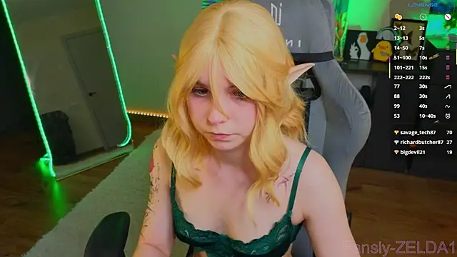 zelda_1 webcam
