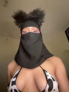 arabayla webcam