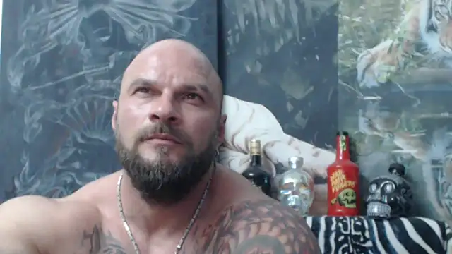 viking_30 webcam