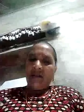 Loomaraj webcam