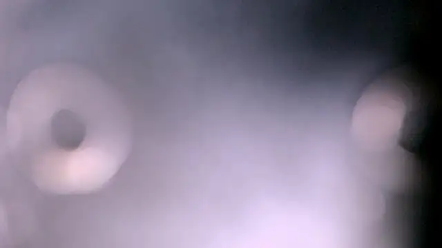 goddess_athena69 webcam
