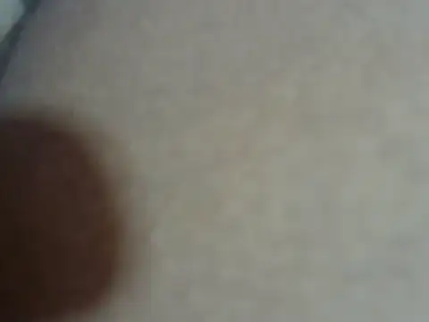 Petite_melan webcam