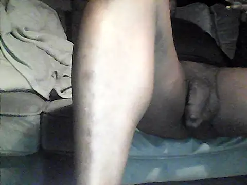 perlados webcam
