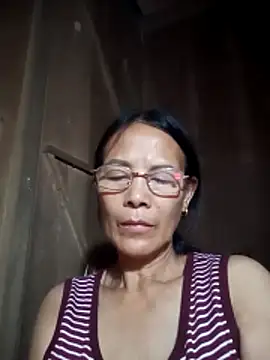 toyo_668 webcam