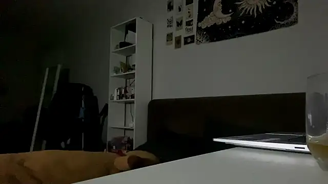 LoiseLovetto webcam