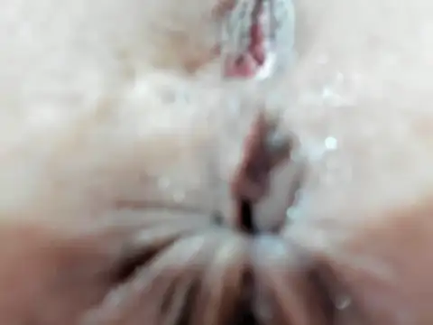 foxy-porn1 webcam