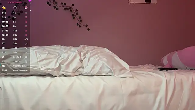 milimoon webcam