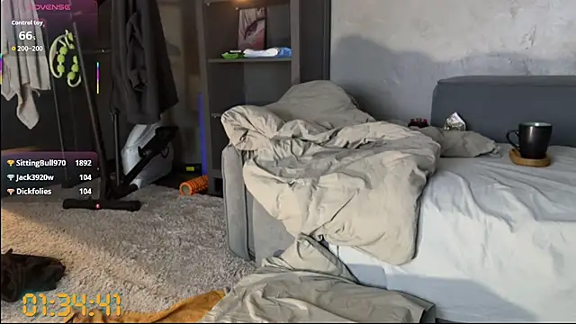 Bastet webcam