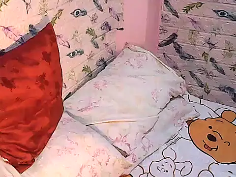 TsLibra webcam