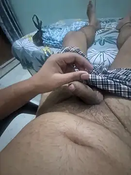 Vishesh43 webcam