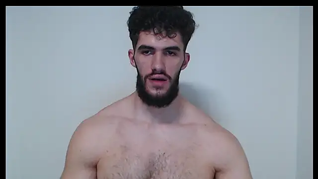 hiddenf webcam