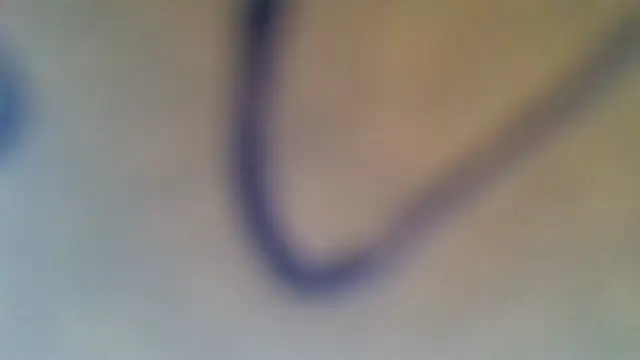 wanderer333 webcam