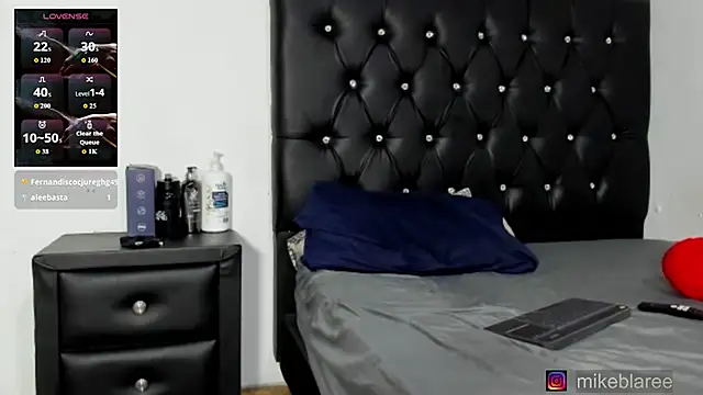 mikeblaree webcam