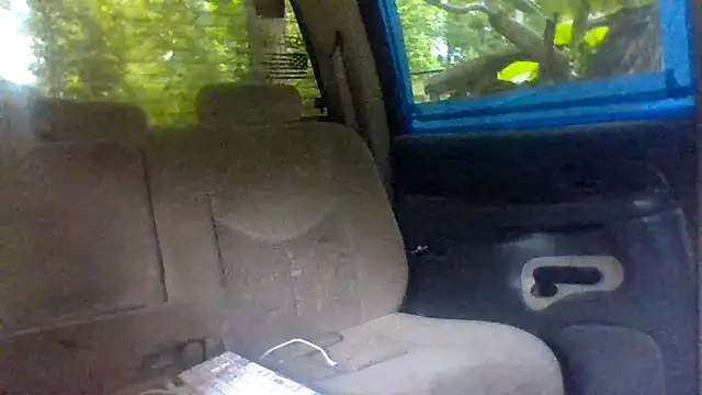 dickencidr webcam