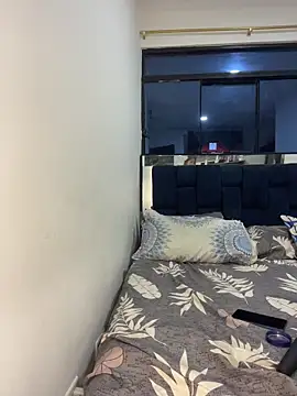 Aylin-fire webcam