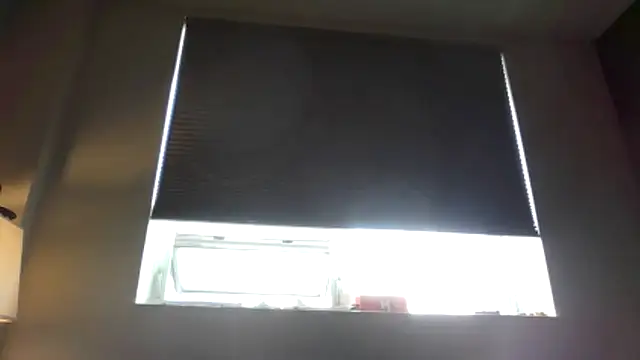 occasionalride1 webcam