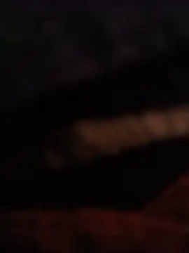 69_SINNS webcam