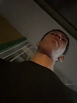 Noah-fire webcam