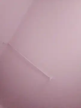 bigtitssxx webcam