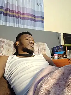 69_SINNS webcam