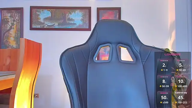 RJBarto webcam