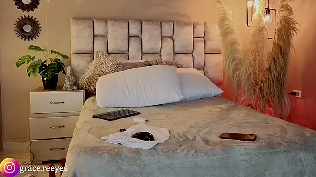 Silvermistt webcam