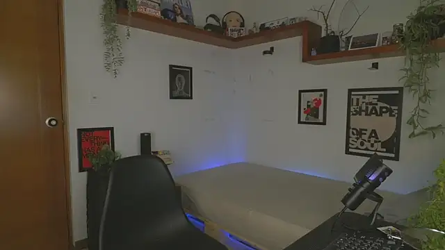ArchiGoldd webcam