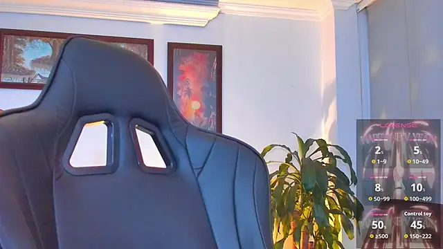 RJBarto webcam