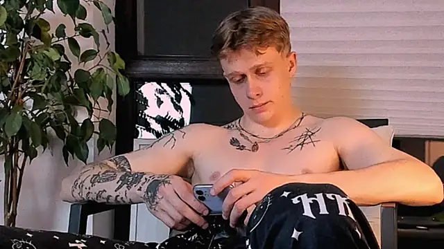 TalkingHead_0_ webcam