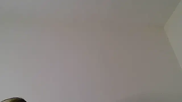 TommyandTomara webcam