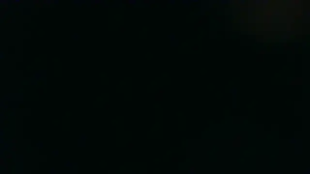 BodyPlayer4u webcam