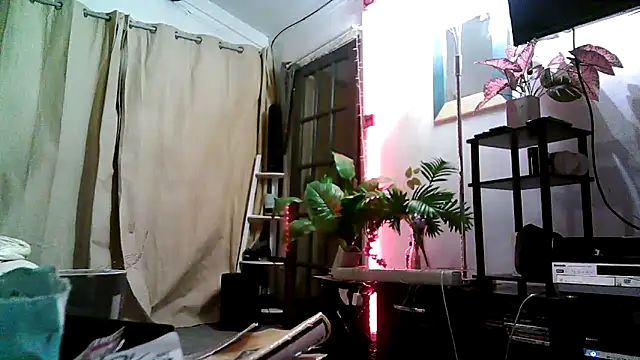 BIG_CHOPPA_747 webcam