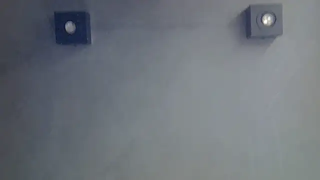 SkinnyKitten webcam