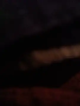 69_SINNS webcam