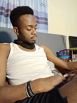 69_SINNS webcam