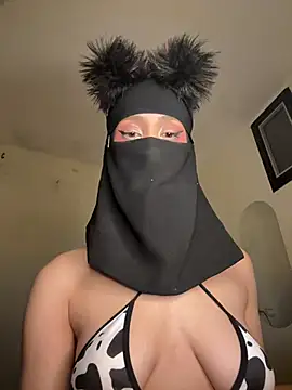 arabayla webcam