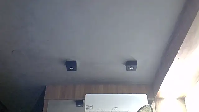 SkinnyKitten webcam