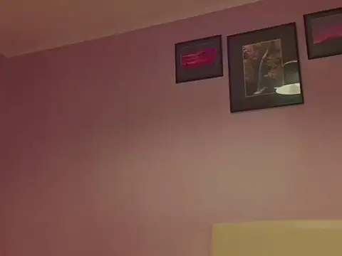 anittac14 webcam
