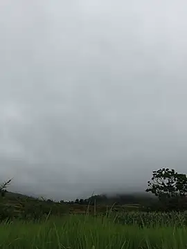 Jooj- webcam