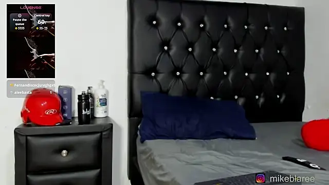 mikeblaree webcam
