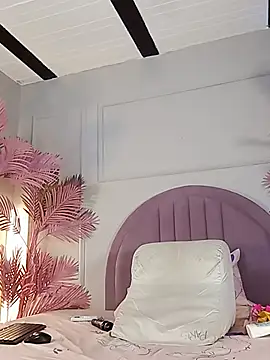 Nalapalmer webcam