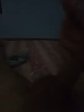 SlicedObservation886 webcam