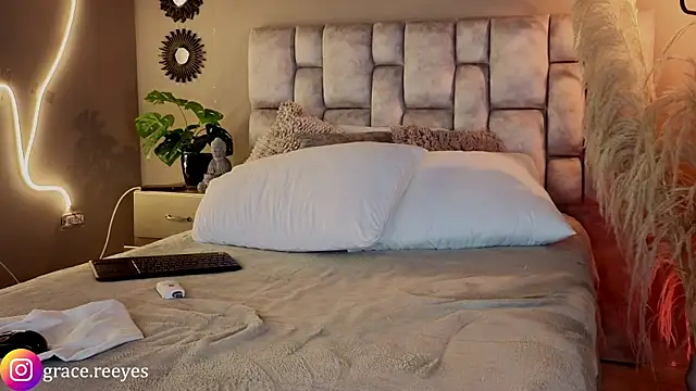 Silvermistt webcam