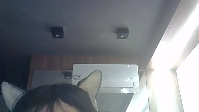 SkinnyKitten webcam