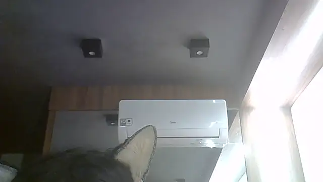 SkinnyKitten webcam