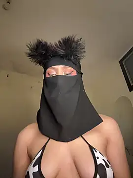 arabayla webcam