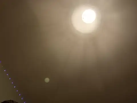 Sofialovee69 live sex cam